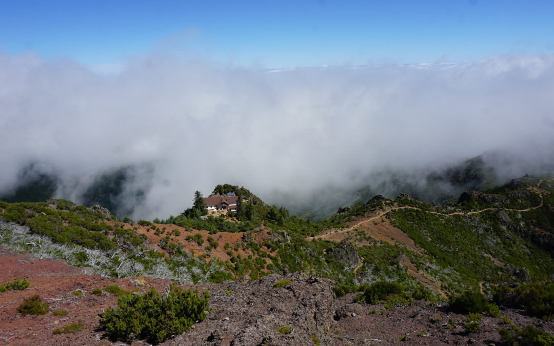 One week in Madeira